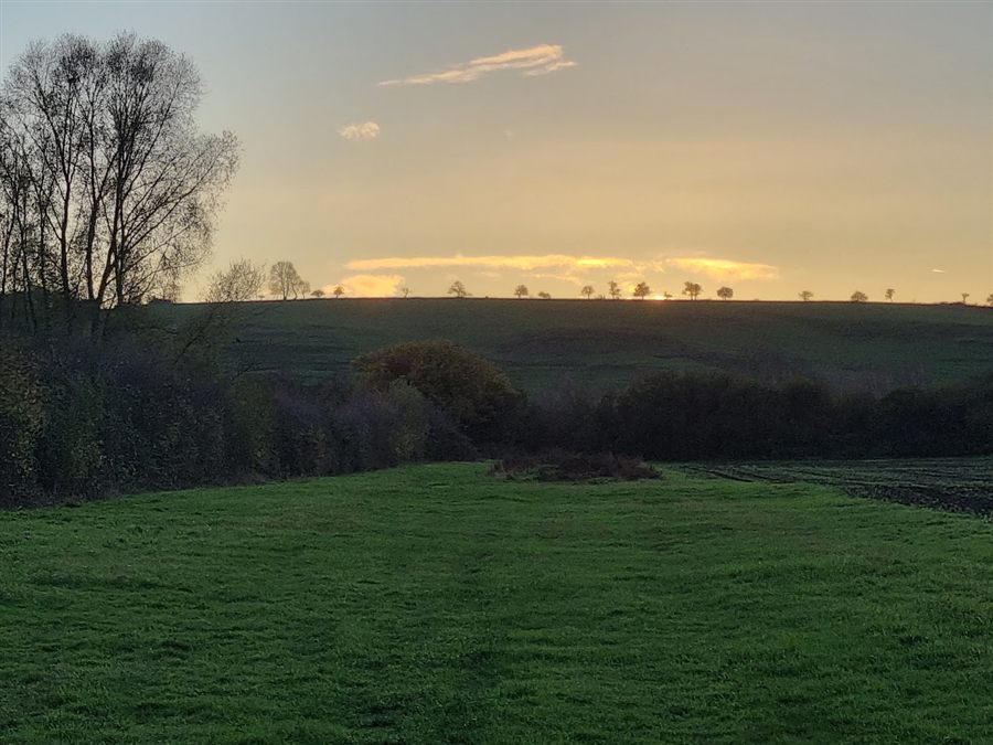 The sun setting behind a line of trees over a field